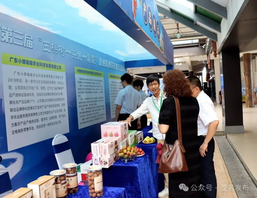 茂名乡村振兴出圈出彩，茂湛高速服务区变身农特产墟市与票务代理服务